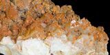 Orange Quartz Crystal Cluster - Diamond Hill, SC #81314-3